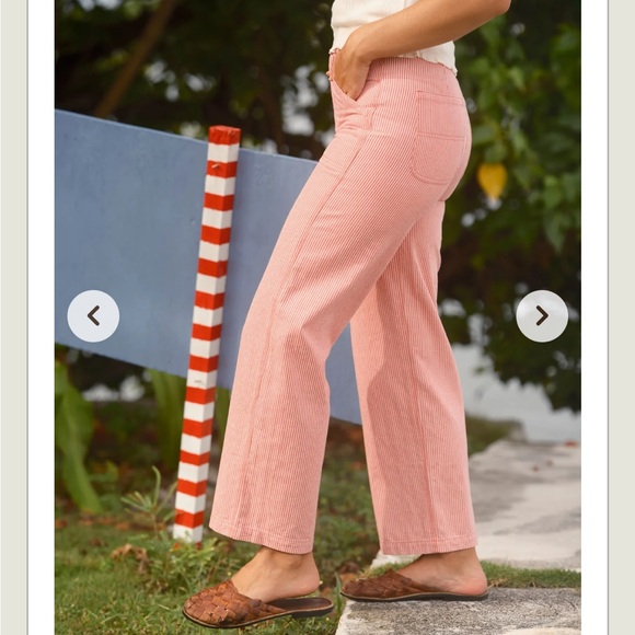 Mollusk Painter Pants pink railroad stripe - Picture 5 of 15